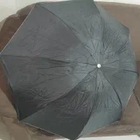 چتر نوک مدادی