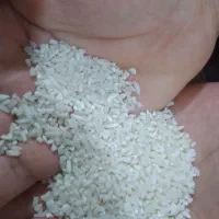 برنج نیم دانه هاشمی