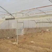 سازه گلخانه 1100 متر|مصالح و تجهیزات ساختمان|دزفول, |دیوار