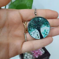 پلاک جاودانه   درختچه موی یار