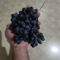 بیا، ببر، بخور(شانی)