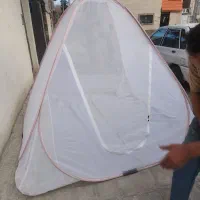 پشه بند