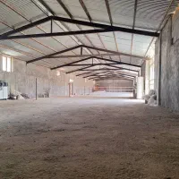گاوداری ۲۰۰۰متری