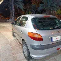 ۲۰۶ تیپ ۲ مناسب مصرف کننده