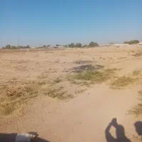 8-قصب-نصرت-اباد-با-برگ-واگذاری