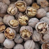 گردو با کیفیت|خوردنی و آشامیدنی|تهران, ترمینال جنوب|دیوار