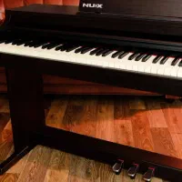 NUX WK-520|پیانو، کیبورد، آکاردئون|قزوین, |دیوار