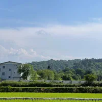 فروش زمین جنگلی اقساطی سر آسفالت|فروش زمین و ملک کلنگی|آمل, |دیوار