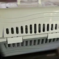 لوازم گربه|لوازم جانبی حیوانات|نوشهر, |دیوار