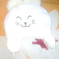 یک عدد کلاه نو|لباس|همدان, |دیوار