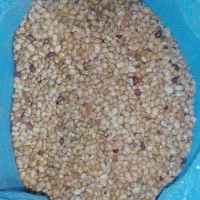 لوبیا چیتی. خورشتی لوبیا گرم. لوبیا برای آش سبزی|خوردنی و آشامیدنی|زرقان, |دیوار