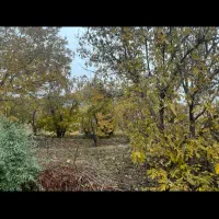 فرصت طالقان زمین ۳۰۰متر بزج داخل بافت بر جاده اصلی|فروش زمین و ملک کلنگی|طالقان, |دیوار