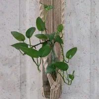 مکرومه|صنایع دستی و سایر لوازم تزئینی|اهواز, کوی باهنر|دیوار