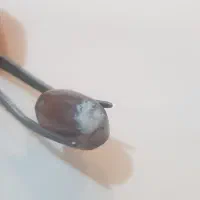 تسبیح شاه مقصود افغانستان و نگین شجر سوسنی|کلکسیون اشیاء عتیقه|مشهد, کارمندان دوم|دیوار