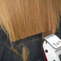 کوتاهی مو ۲۸۰ و رنگ ریشه ۳۰۰و جمعه سالن باز