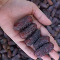 خرما پیارم درجه یک