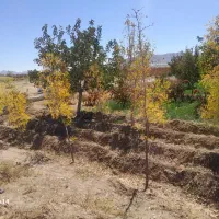 باغ ویلا|فروش خانه و ویلا|سربیشه, |دیوار