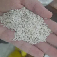 برنج عنبربو به قیمت قدیم شارژ شد|خوردنی و آشامیدنی|کرمانشاه, |دیوار