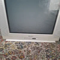تلویزیون