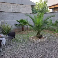 ویلای نقلی در شهرک بنیاد پیربازار|فروش خانه و ویلا|رشت, گلسار|دیوار