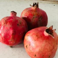 انارملس ممتاز