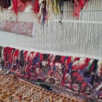 فرش هریس تاجری نیمه کاره با نخاش|فرش|تبریز, |دیوار