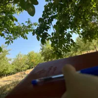 گوشی سامسونگ اولترا اس ۲۴