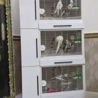 قفس mdf چهار طبقه برای نگهداری انواع پرنده|لوازم جانبی حیوانات|رفسنجان, |دیوار