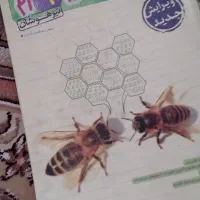 مجموعه کتاب های تست تیزهوشان و نمونه دولتی|کتاب و مجله آموزشی|قم, حمام تالار|دیوار