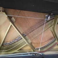 پیانو یاماها jx113|پیانو، کیبورد، آکاردئون|شیراز, انجیر|دیوار