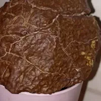 سنگ مغناطیسی