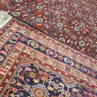 تولیدکننده صفرتاصدفرش و گبه دستیافت|فرش|شیراز, تاچارا|دیوار