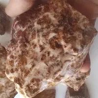 شجر کریستالی سرخ وجاسپر