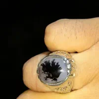 کلکسیون انگشتر های شجر قائنات ناب طبیعی مصور|جواهرات|تهران, استاد معین|دیوار