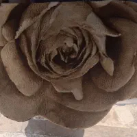 پادری شیک سالم فقط ۱۰۰ هزارتومان