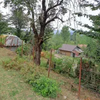 زمین-جنگلی-مسکونی-ویو-دار