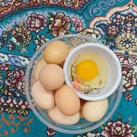 تخم مرغ بومی