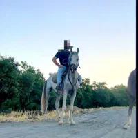 مادیون عرب با کره