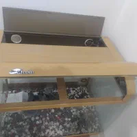 آکواریوم وارداتی شیشه خم ژاپنی مارک. Yuemei|ماهی|اسلام‌شهر, شهرک قائمیه|دیوار