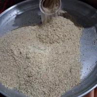 گردو|خوردنی و آشامیدنی|میانه, |دیوار
