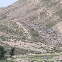 زمین مشاع 200 متری