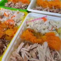 غذای خانگی سگ و گربه