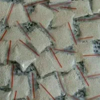 پودر شپش