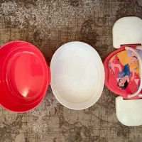 ظرف غذا|ظروف نگهدارنده، پلاستیکی، یک‌بارمصرف|تهران, تهرانپارس غربی|دیوار