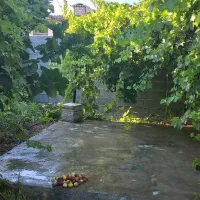 فروش باغچه(زمین مسکونی روستایی) در ۱۸Km کرمانشاه|فروش زمین و ملک کلنگی|کرمانشاه, |دیوار