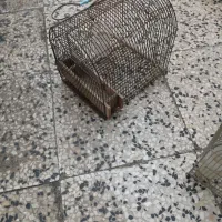 قفس پرنده نو درحد تعدادی هست|لوازم جانبی حیوانات|دوگنبدان, |دیوار