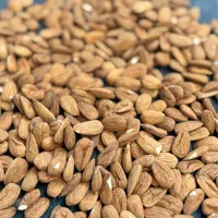 خرید انواع بادام نقدی