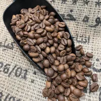 دان و آسیاب قهوه عمده و خرده