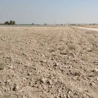 زمین دوربر تفکیک شده|فروش دفتر صنعتی، کشاورزی، تجاری|پاکدشت, پاکدشت (مامازند)|دیوار