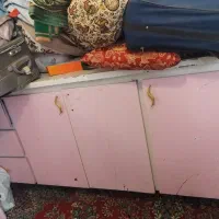 کمد اهنی وکمد ظرفی